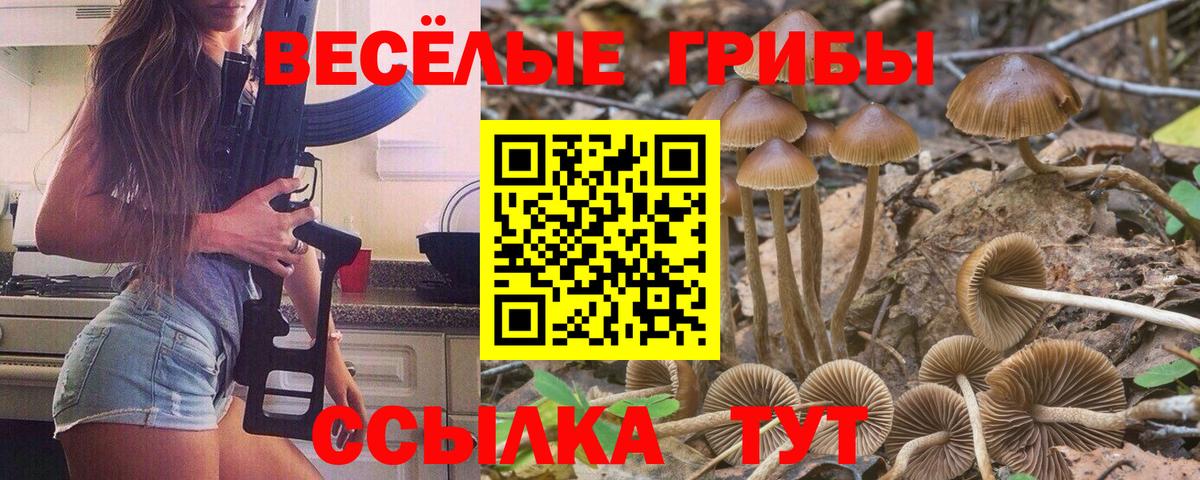 Галлюциногенные грибы MAGIC MUSHROOMS Кисловодск