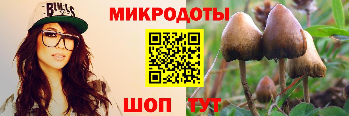 Галлюциногенные грибы мухоморы  Вход с VPN  Кисловодск 